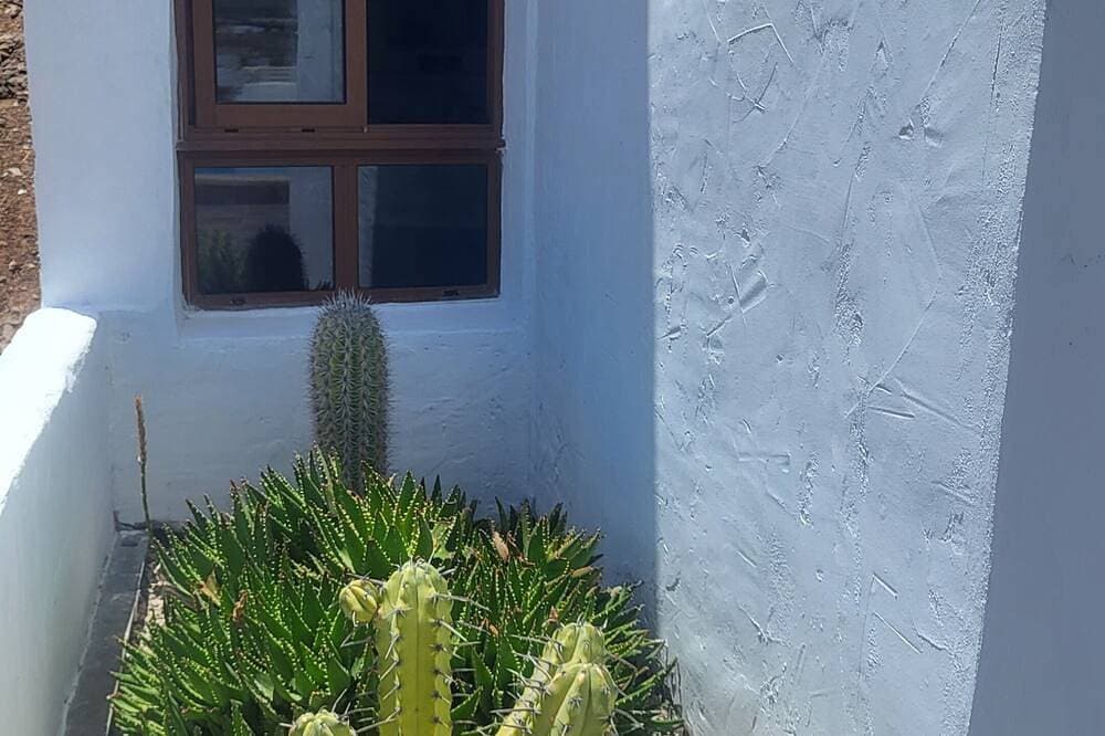Foto 10 von 30: Casa Hector gute Aussicht