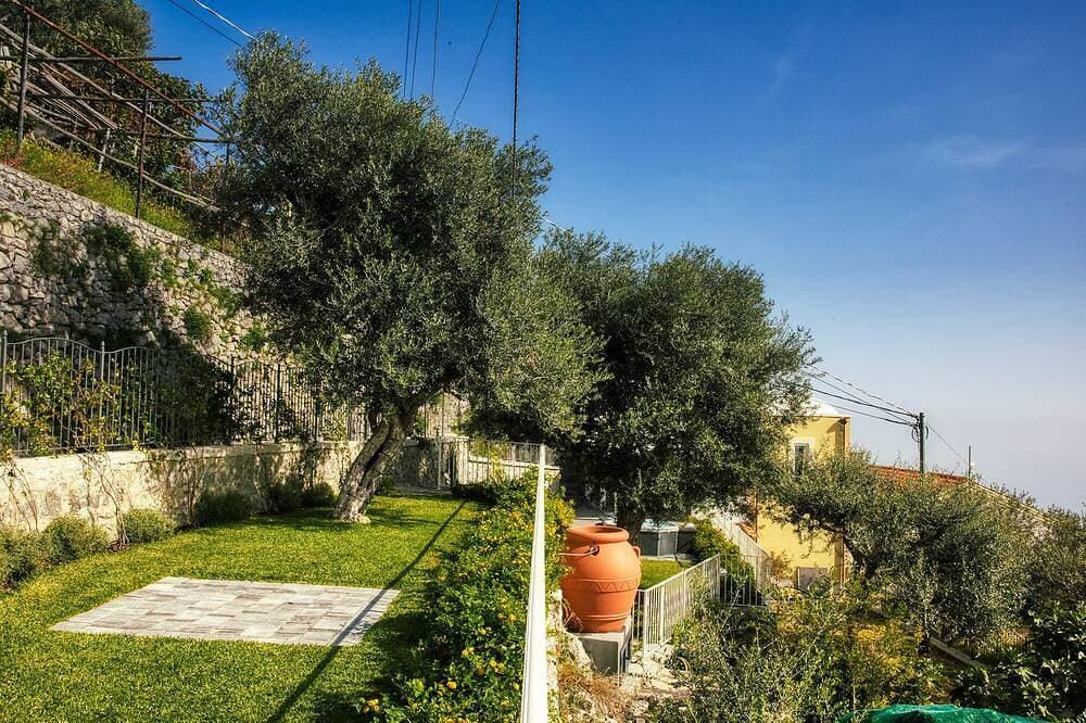 Foto 11 von 22: Olive house, luxury retreat