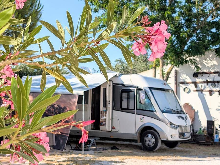 Foto 10 von 42: Lilybeo Village - Camping & Residence - Wohnung 2 personen