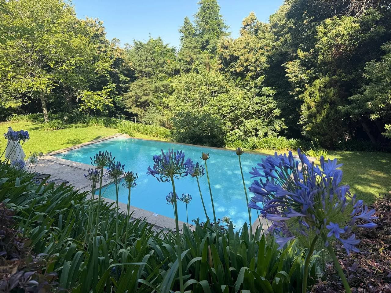 Foto 3 von 35: Suite Camélia mit Gemeinschaftspool und privatem Garten