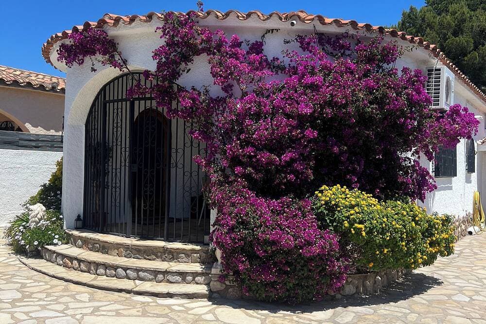 Foto 2 von 30: Charming  House with  spaciousGarden and Terrace
