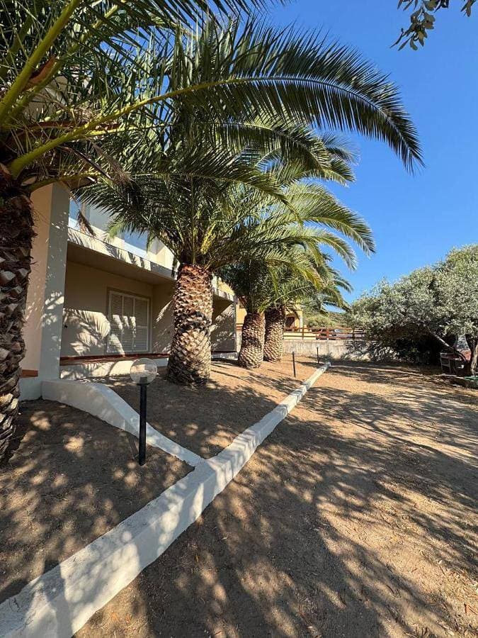 Villa del Palmeto 1
