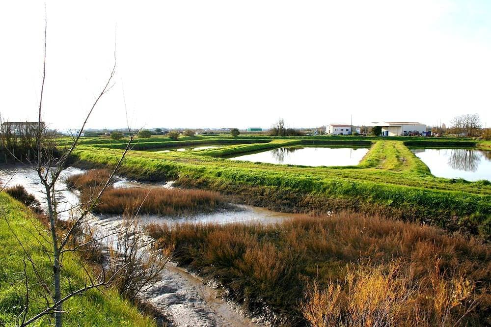 Foto 13 von 22: Studio - St Pierre D Oleron
