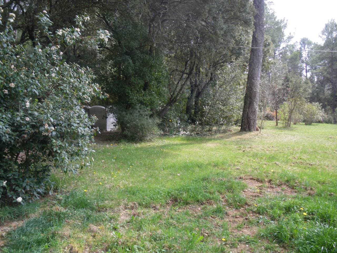 Foto 8 von 19: Villa 'Colle D'Auban' mit privatem Pool, WLAN und Klimaanlage