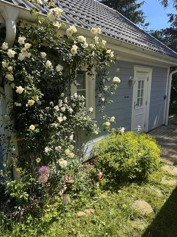 Foto 3 von 26: Holiday Home