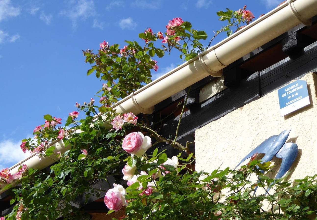 Foto 5 von 50: L oiseau bleu