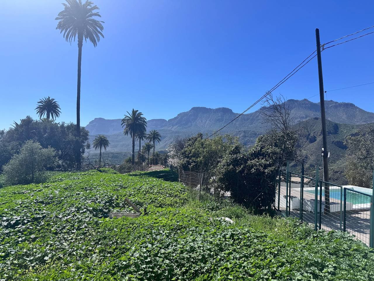 Foto 11 von 35: Palmeral de Taidía – Casa 3 mit Bergblick, WLAN und Klimaanlage