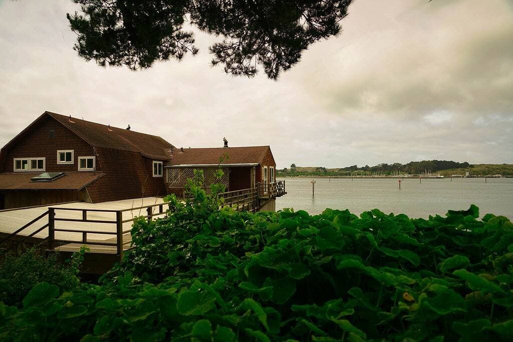 Foto 11 von 20: Beste Aussicht in Bodega Bay - Wir sind direkt am Wasser!