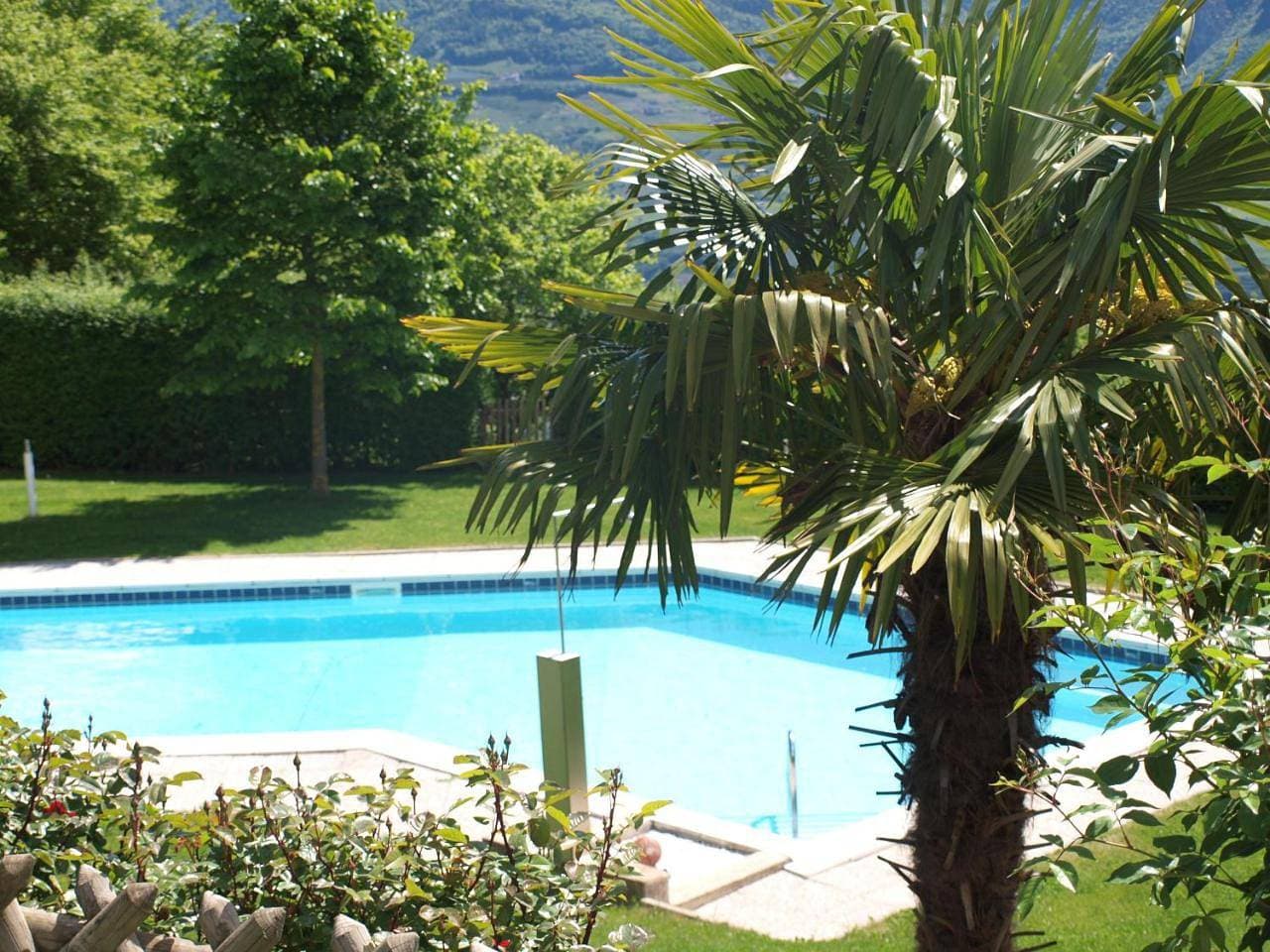 Foto 13 von 63: Apartment with Pool View