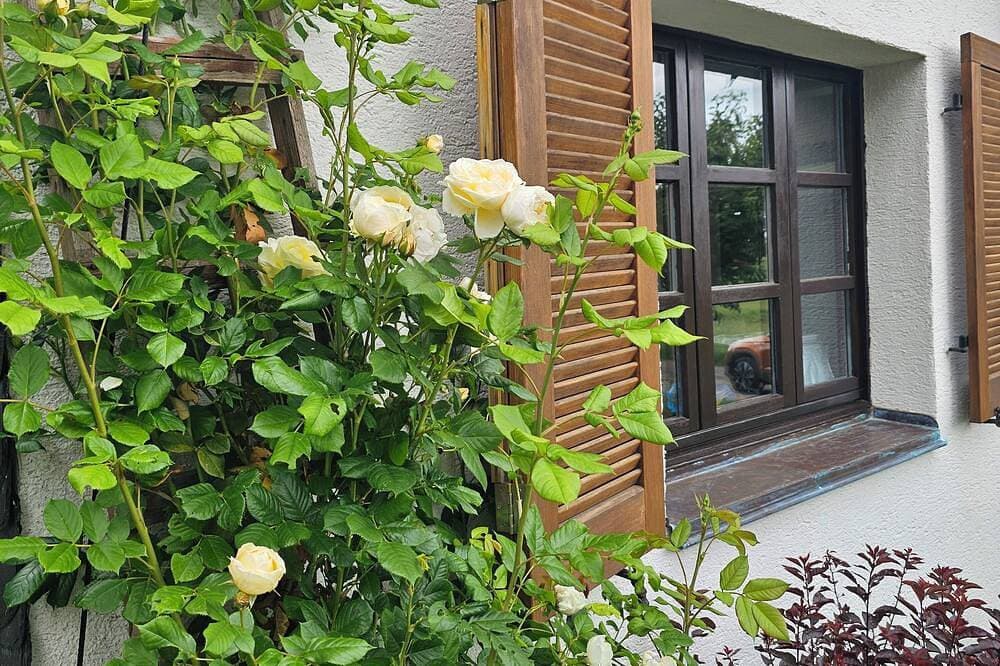 Foto 12 von 30: Ferienhaus s' Häusel