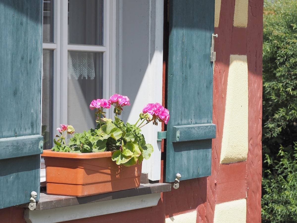 Foto 6 von 16: Hellbachhof - Ferienwohnung Brünnlein