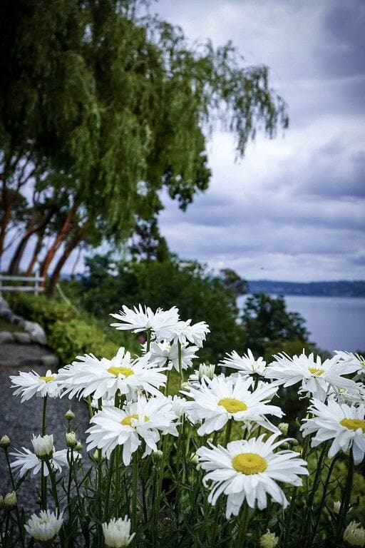Foto 3 von 50: Bluff House, Vashon Island