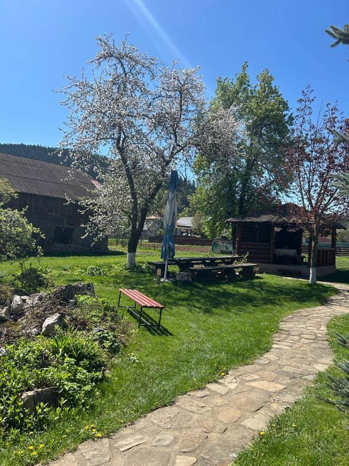 Foto 7 von 11: Villa with Garden View