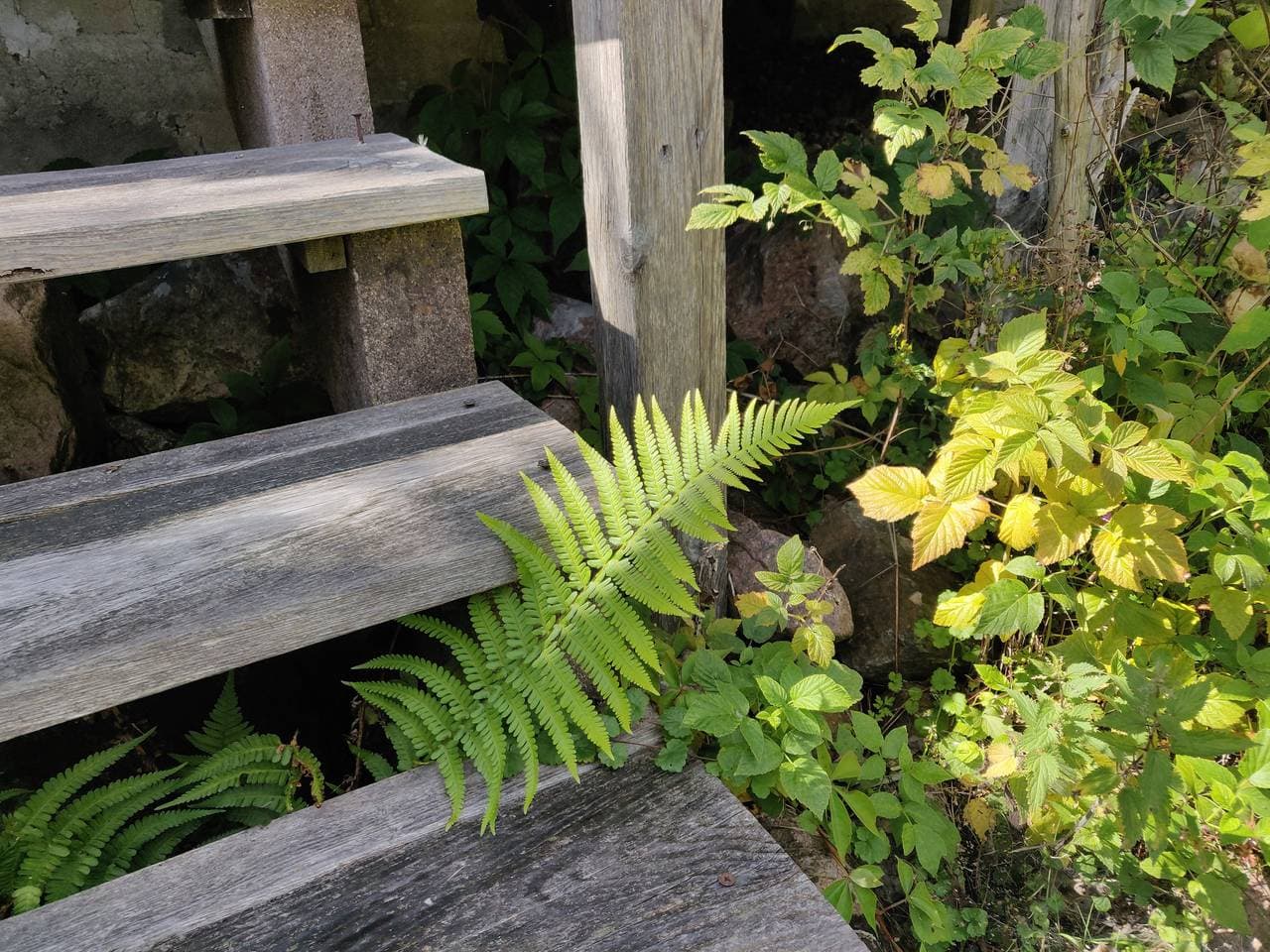 Foto 11 von 14: Gemütliches kleines Ferienhaus auf dem Lande in Småland