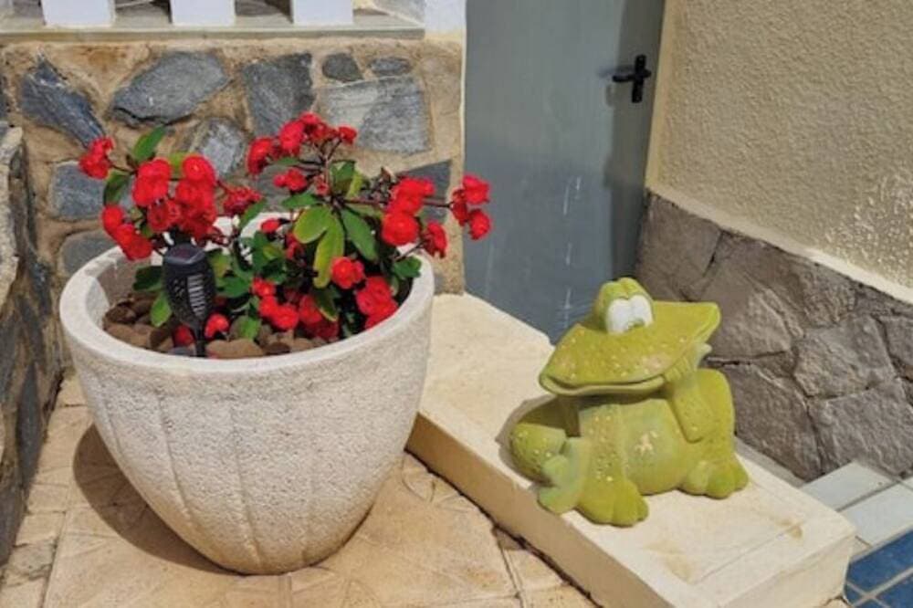 Foto 6 von 22: Oase am Montgo, gemütliche Wohnung mit grosser gedeckter Terrasse