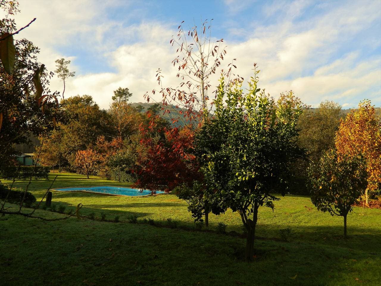 Foto 13 von 23: Baumhaus Quinta Lamosa