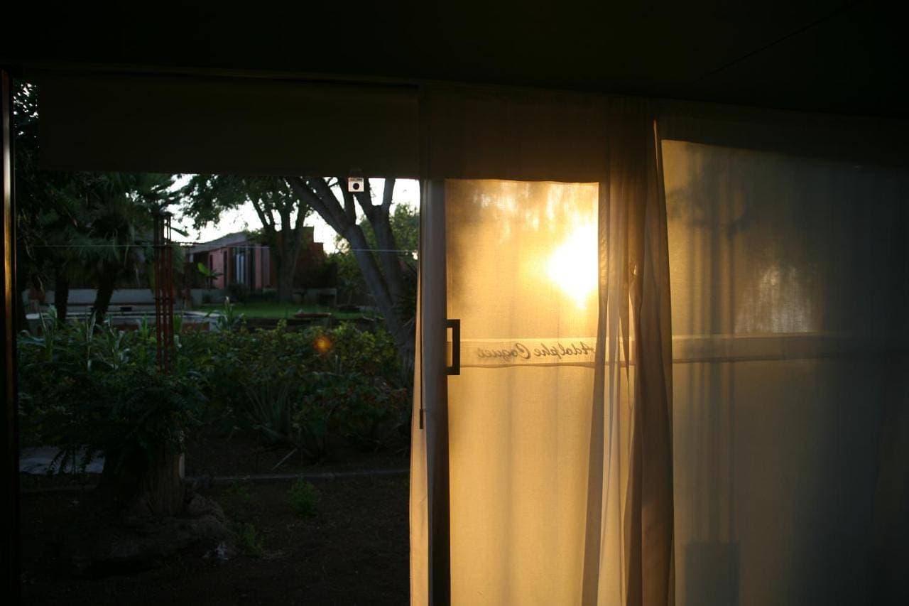 Foto 8 von 13: Double Room with Garden View
