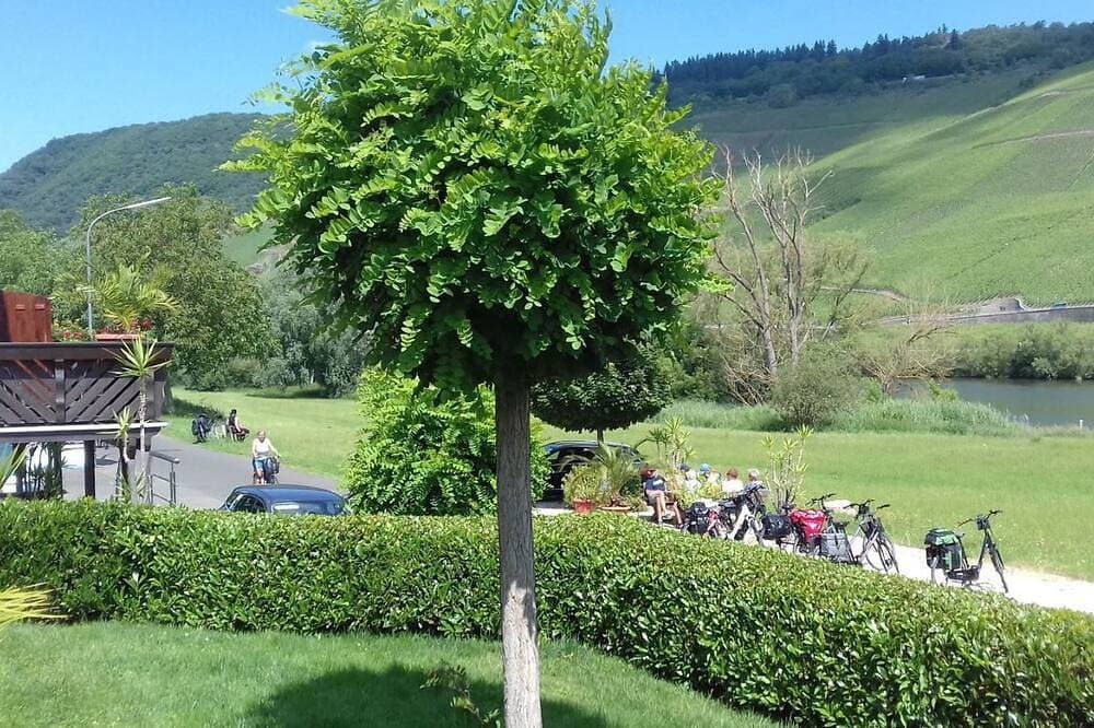 Foto 8 von 24: Moselstrand 2  einmalig schöne Lage direkt an der Mosel,   am Moselradweg      g