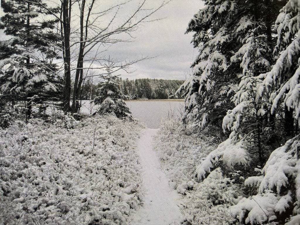 Foto 2 von 39: Lakefront Cabin/Hot Tub/Dock Lake Access/Ski Sugarloaf Mountain12mi/Trail Access