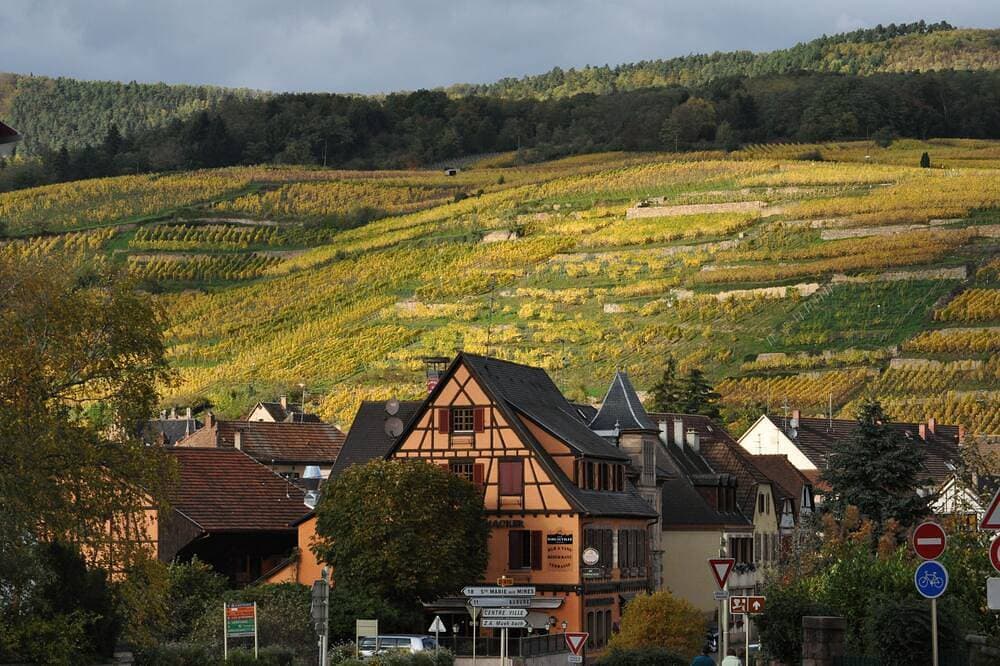 Foto 12 von 16: Typische Wohnung im alten Haus Wein