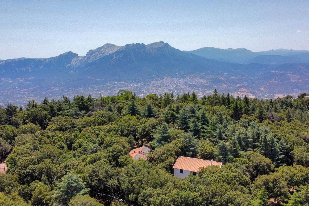 Appartamento Monte Ortobene 1 1