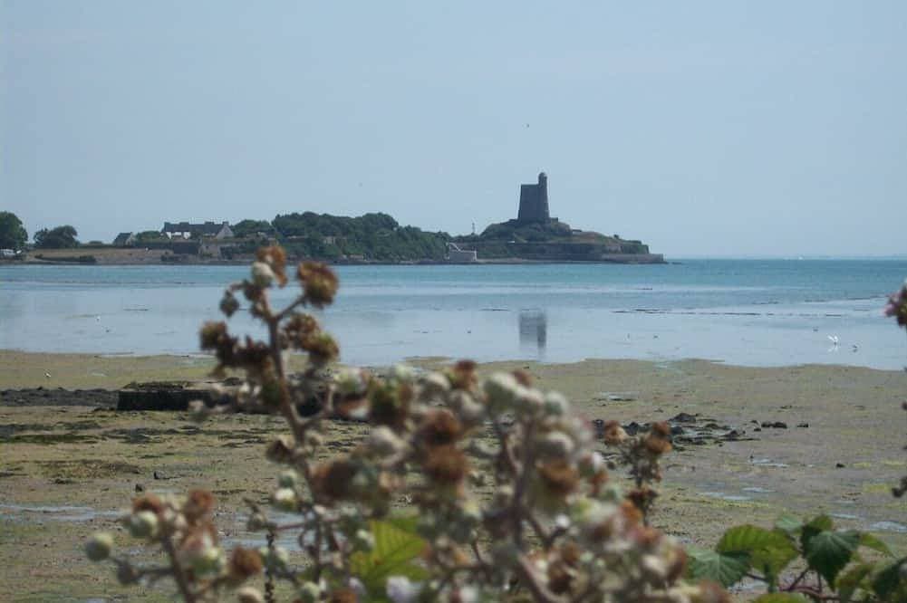Foto 10 von 12: Cute gîte close to the seaside and D-Day beaches for 2 people