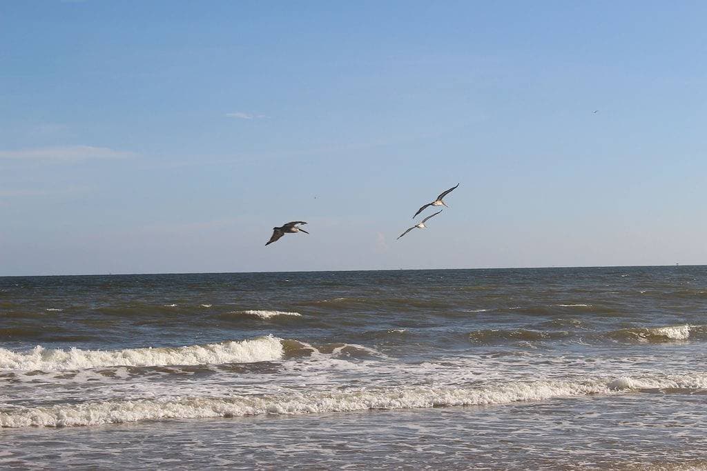 Foto 12 von 41: Entspannender Matagorda Beach Retreat - Blick auf den Golf vom Deck und der Sonnenterrasse
