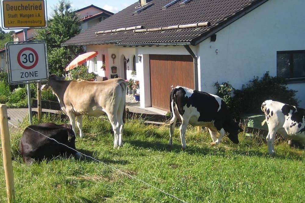Foto 8 von 20: Ferienwohnung Abendrot - Dreiländerblick Ferienwohnungen
