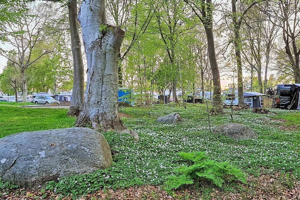 Foto 10 von 21: 4 Sterne Ferienhaus in Sölvesborg