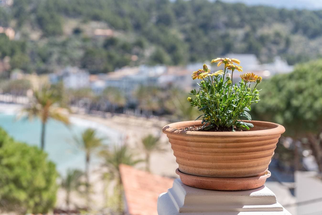 Foto 4 von 27: Villa am Strand mit Meerblick in Port de Sóller, Garten und WLAN
