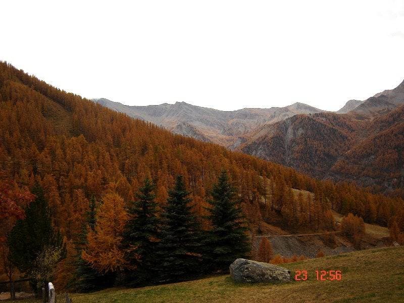 Foto 10 von 12: Le Lys Martagon