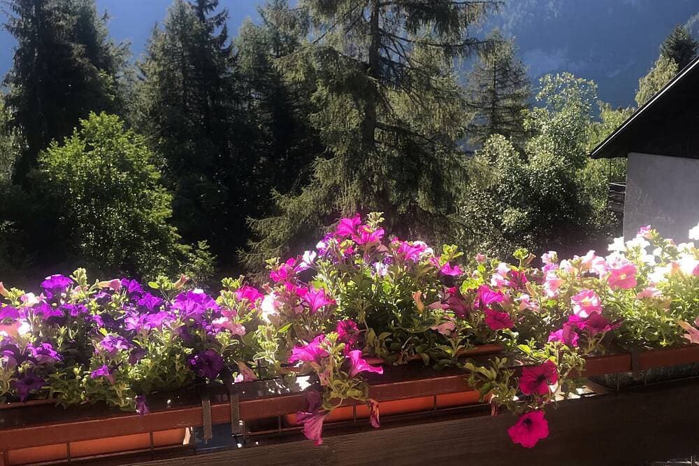 Foto 11 von 30: Sasso Rosso Apartment mit Blick auf die Alpen