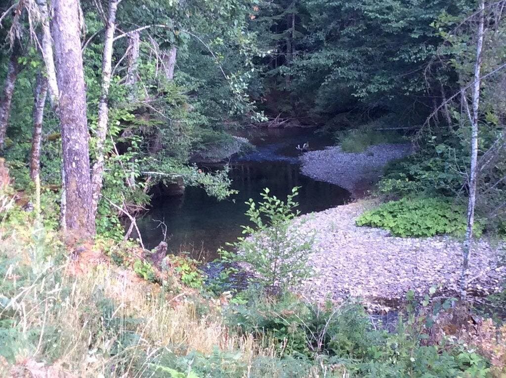 Foto 12 von 25: Einzigartiges Haus in Willard, Wa. 40 Morgen, 50 Meter von Little White Salmon River