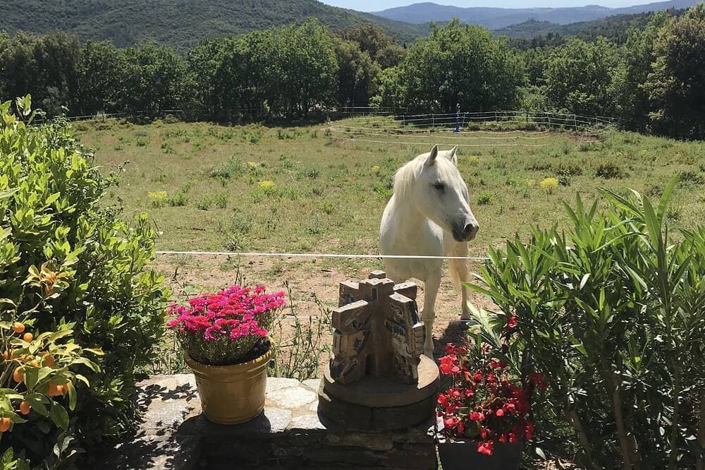 Foto 8 von 30: Der authentische und bohème Charme der unberührten Natur im Golf von St. Tropez