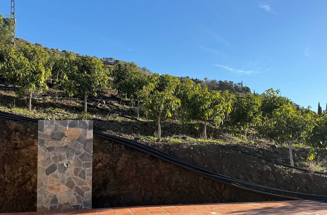 Foto 4 von 34: Villa 'Cortijo Albarino' mit Meerblick, WLAN und Klimaanlage