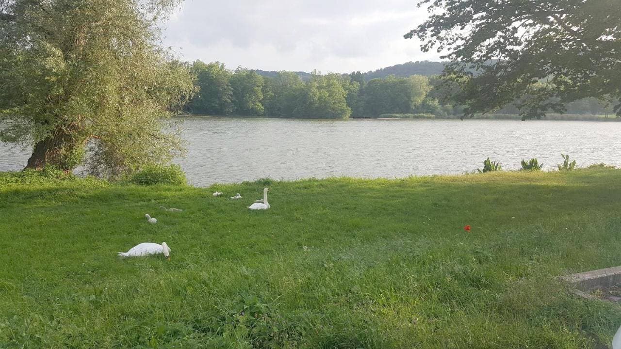 Foto 2 von 13: Deluxe Double or Twin Room with Lake View