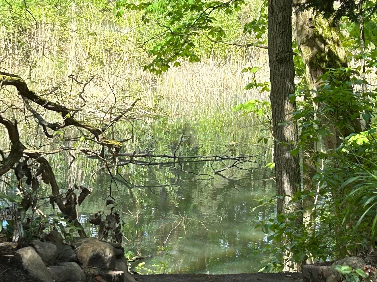 Foto 13 von 24: Dein unkomplizierter Rückzugsort für zwei Personen – direkt am Silbersee bei Coswig (Anhalt).