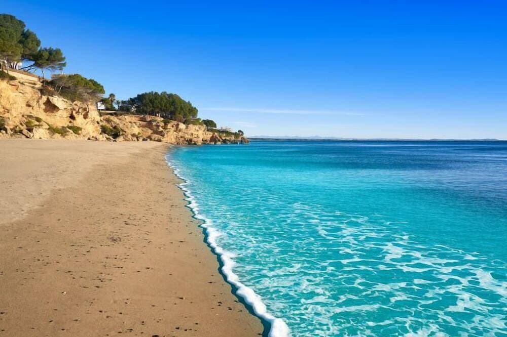 Foto 13 von 21: Jalisco de los Monteros