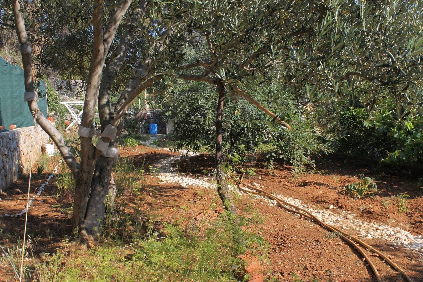 Foto 13 von 23: 1-Zimmer-Ferienwohnung mit Terrasse Mali Losinj, Losinj -b