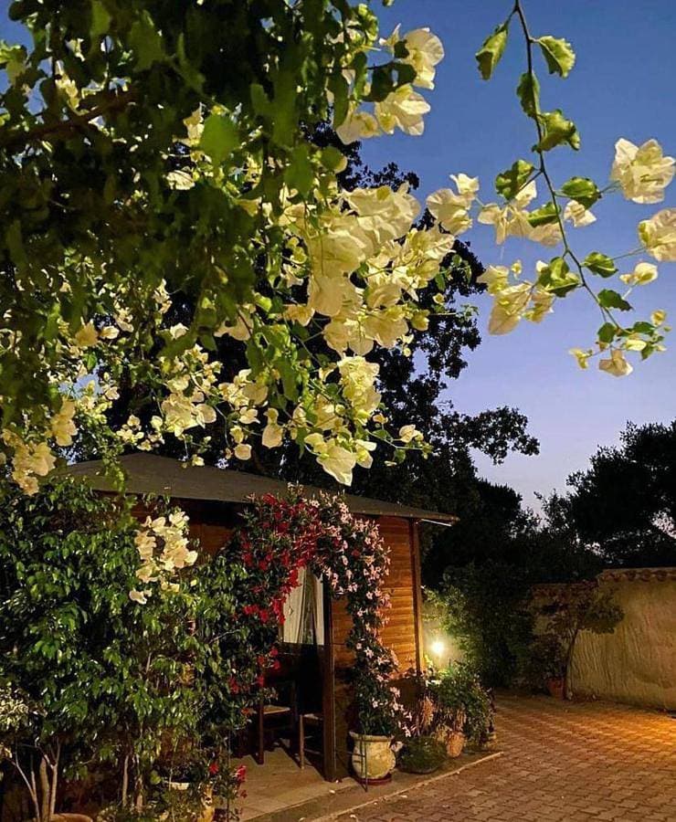 B&B Il Girasole 1