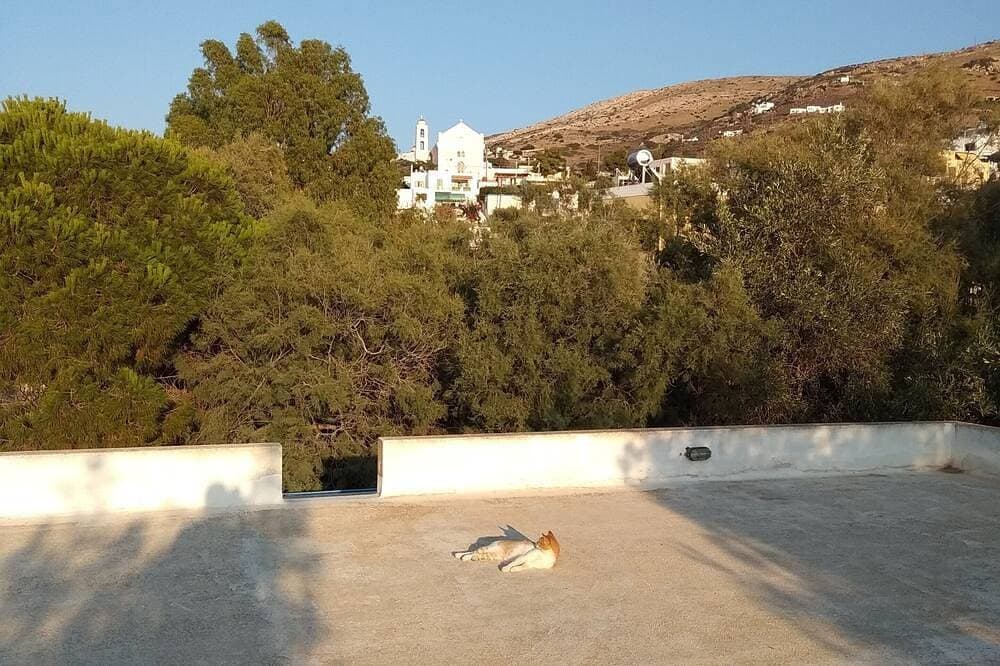 Foto 10 von 30: Vila \"Inspiration\" - Auf Kini Beach. Haus mit Garten & kostenlosem Parkplatz - Meerblick