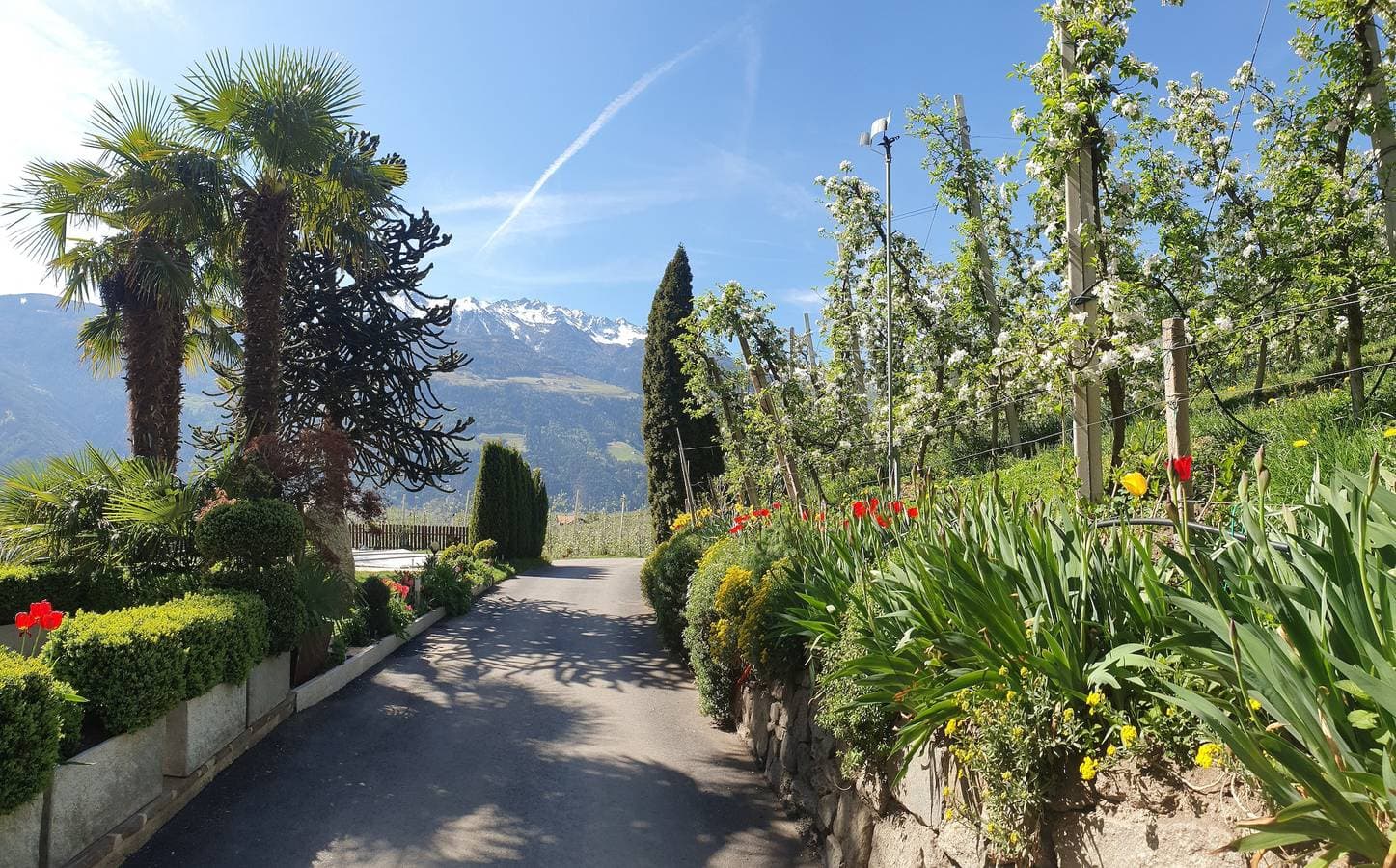 Foto 5 von 13: Apartment 'Himmelschlüssel' mit Bergblick, Gemeinschaftspool und WLAN