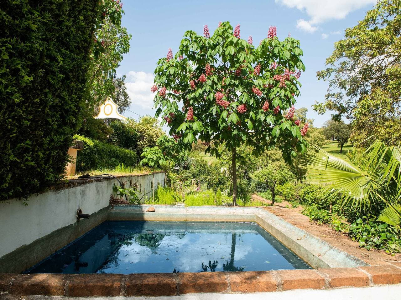 Foto 12 von 39: Weinlandhaus im Alentejo