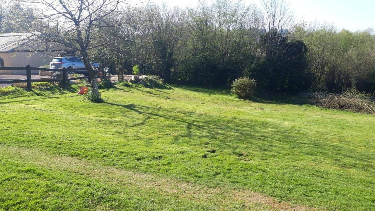 Foto 5 von 10: Family Room with Garden View