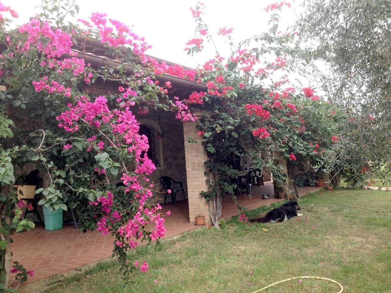 Casa Santina 1