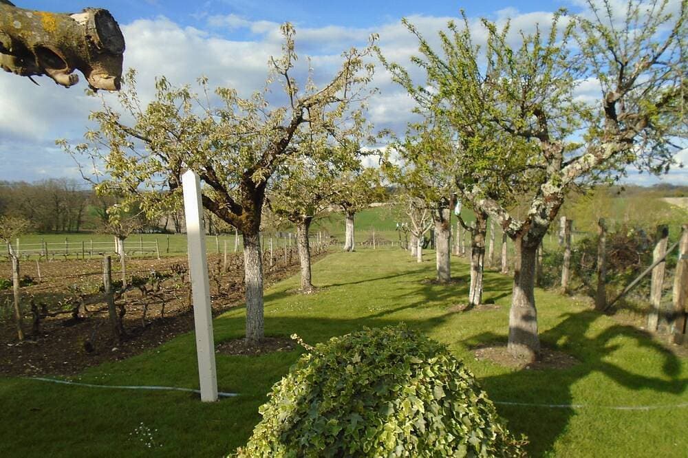 Foto 13 von 24: Doppelhaushälfte zu der des Eigentümers klassifiziert 2 * 4 Pers angenehm, ruhig