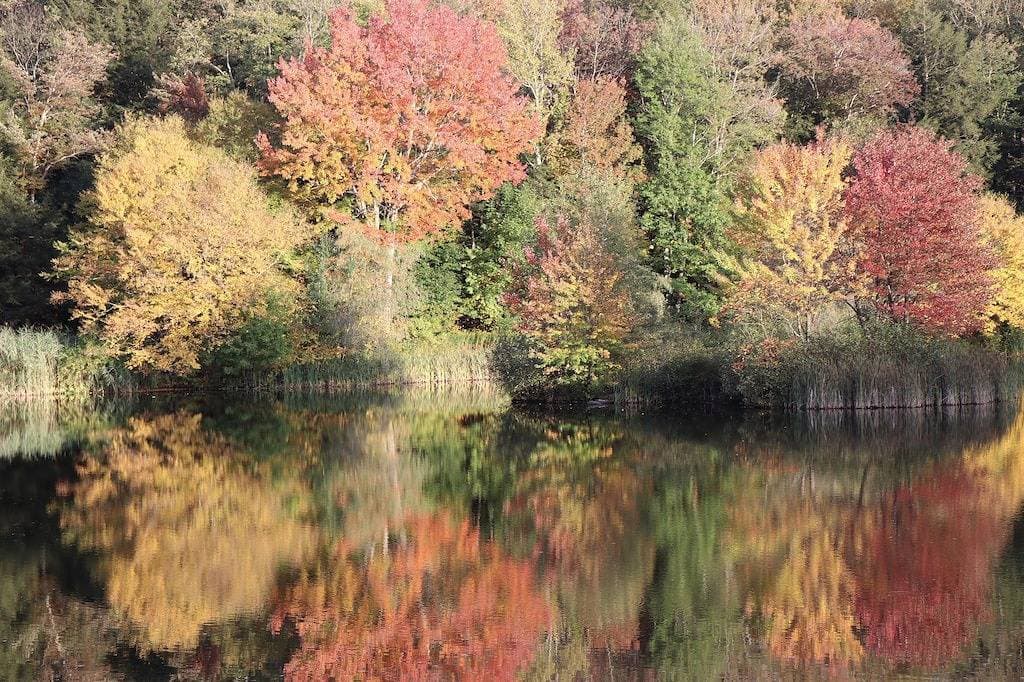 Foto 4 von 23: Privater See am plätschernden Wasser Ein-Raum-Kabine
