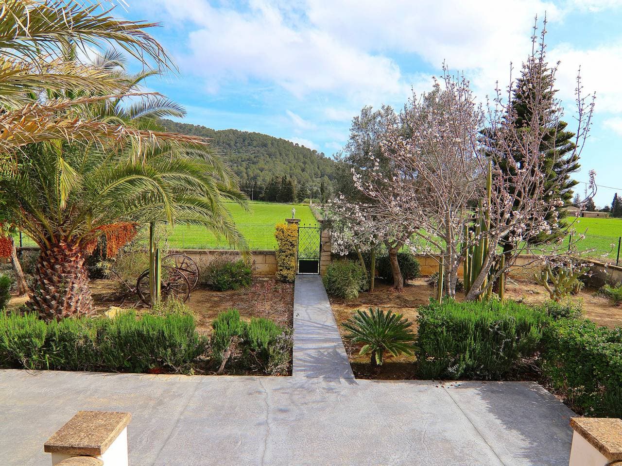 Foto 9 von 36: Rustikale Villa in Sa Pobla mit privatem Pool