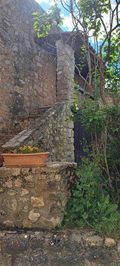 Foto 4 von 5: Holiday Home