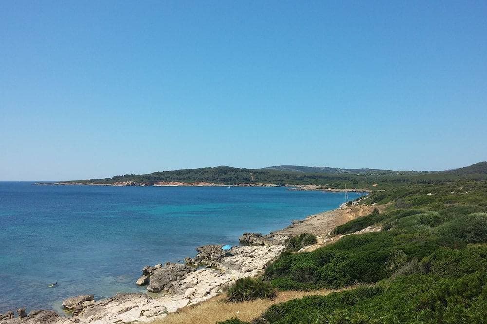 Bright Apartment Within Walking Distance From The Sea 1